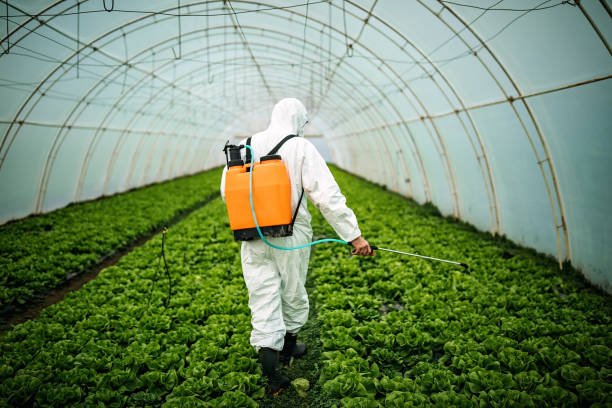Best Pest Prevention Services  in Detroit, MI