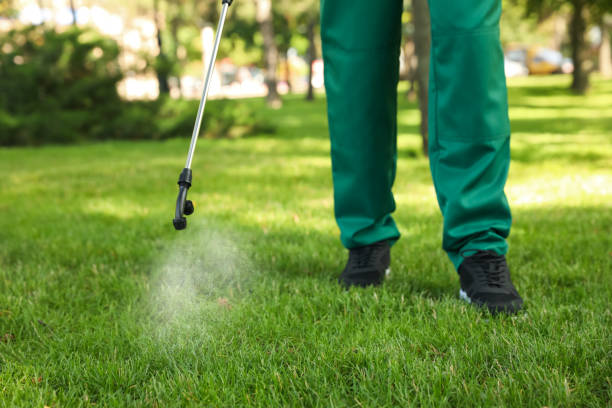 Best Pest Control Near Me  in Detroit, MI