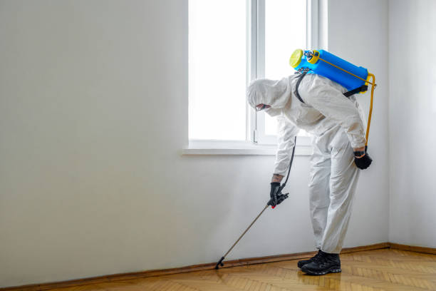 Best Cockroach Control Services  in Detroit, MI