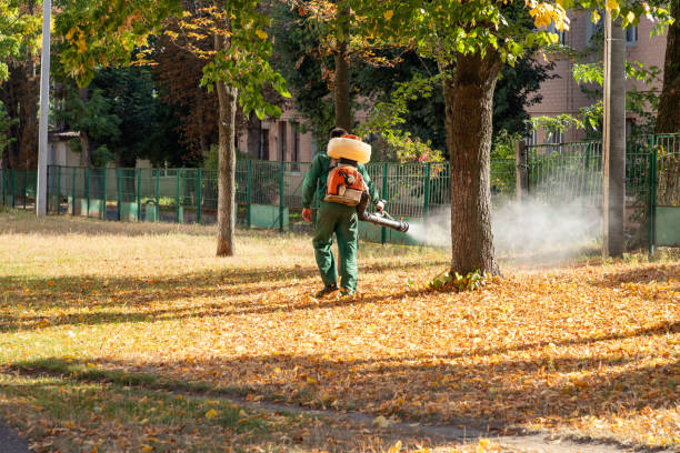 Best Wasp Removal Services  in Detroit, MI