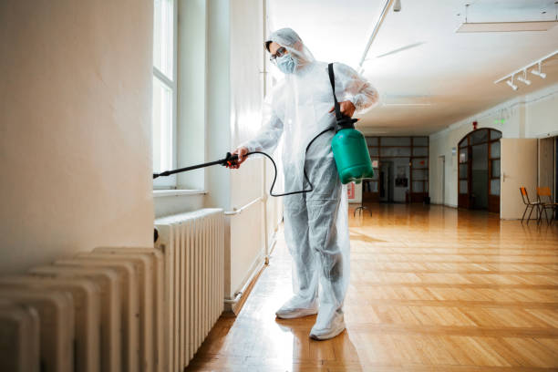 Best Pest Inspection Near Me  in Detroit, MI