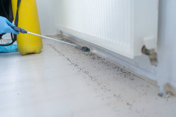 Best Wildlife Control Services  in Detroit, MI