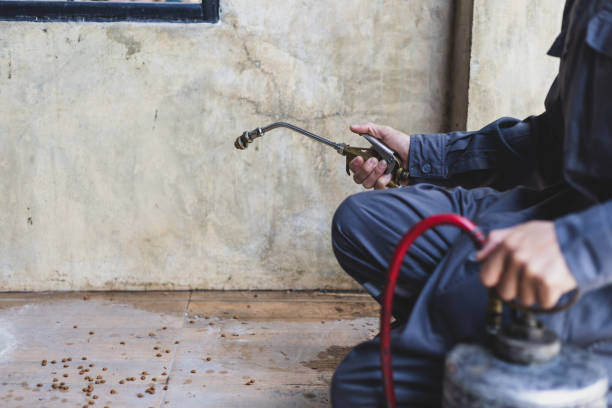 Best Mosquito Control Services  in Detroit, MI