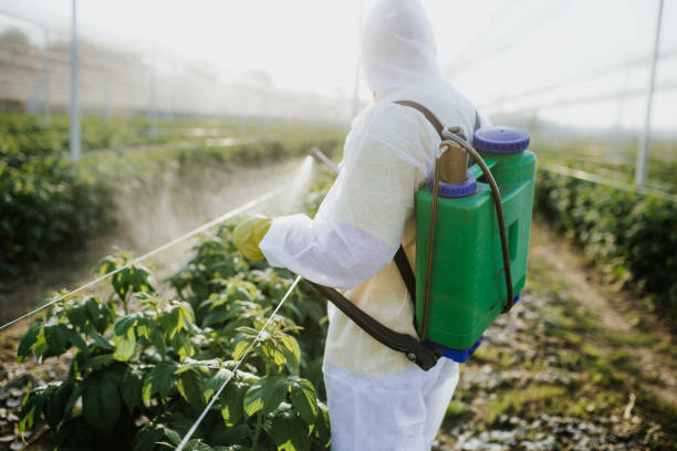 Best Affordable Pest Control Services  in Detroit, MI